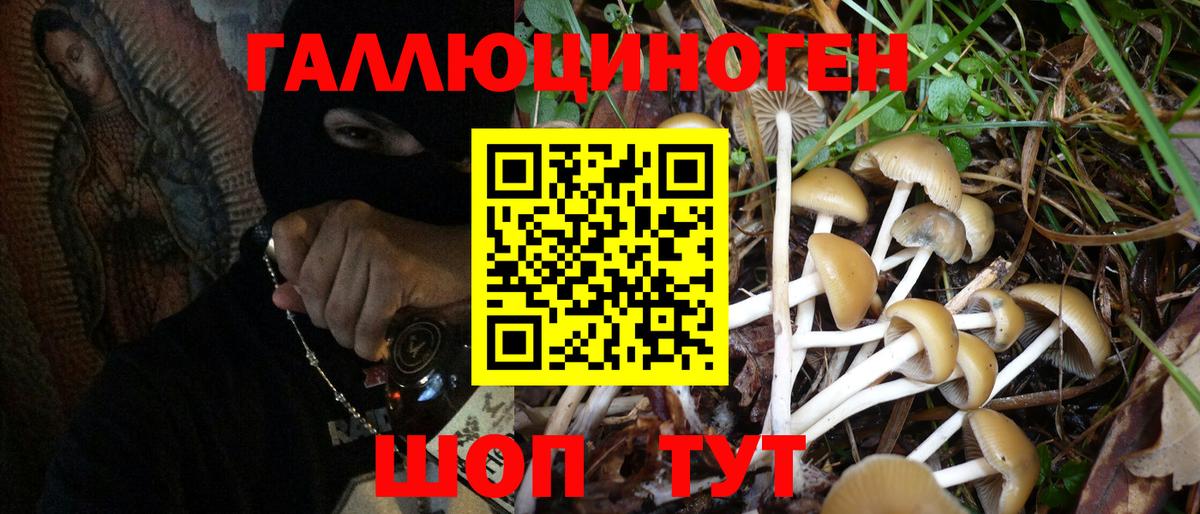 Галлюциногенные грибы GOLDEN TEACHER Саяногорск